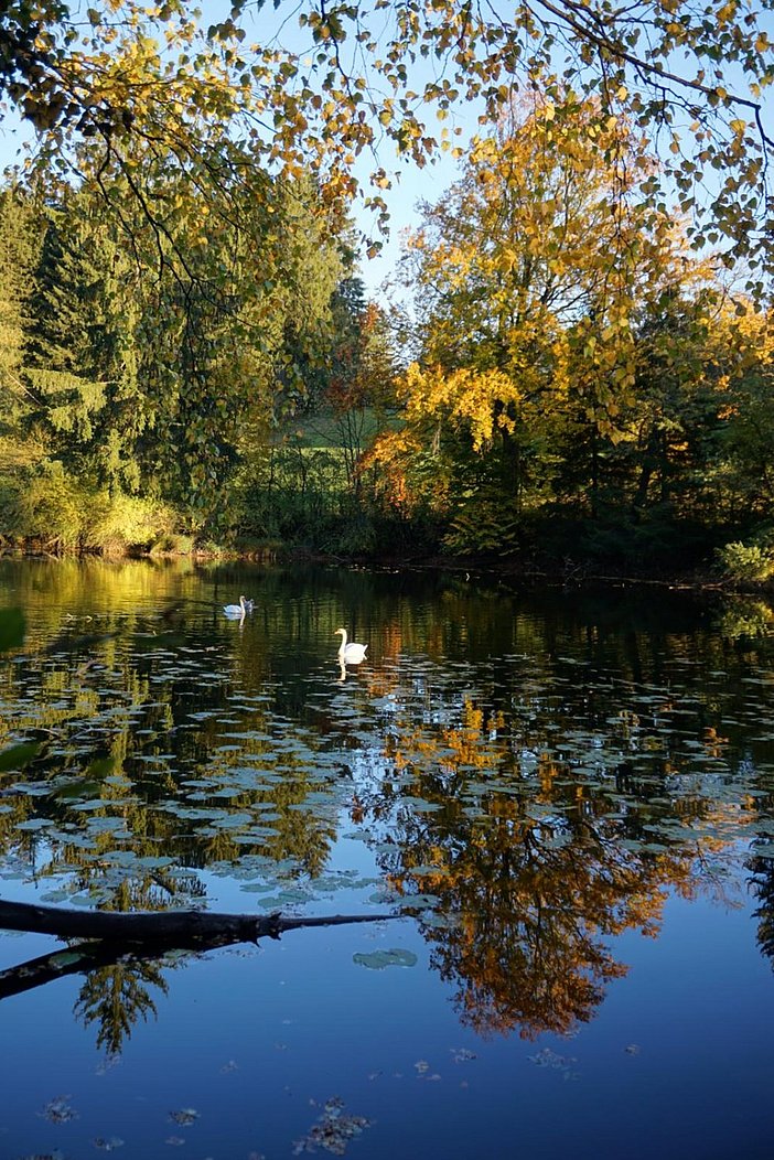 Naturschutzgebiet Widdumer Weiher