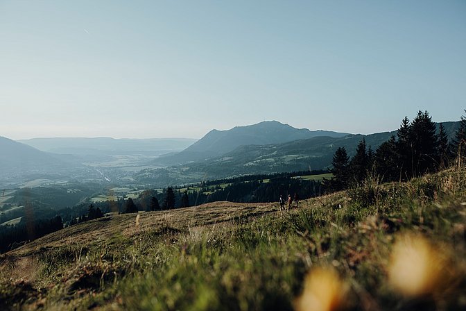 Weitblick auf den Grünten