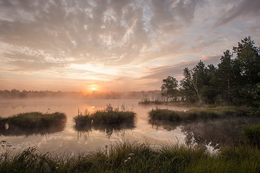 Nebel und Sonnenaufgang über Moorsee im Wurzacher Ried