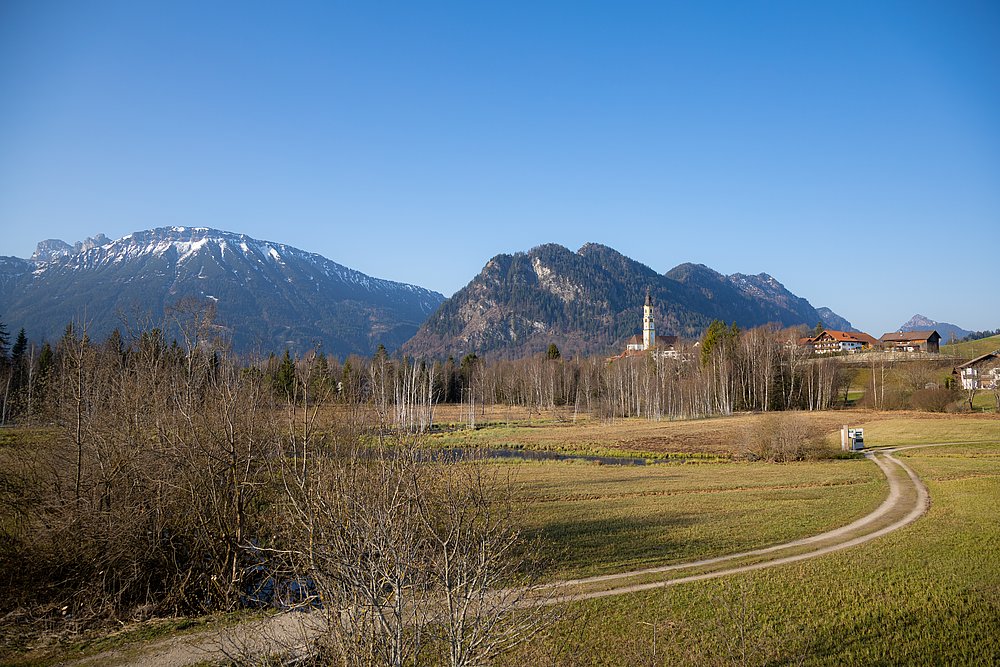 Blick auf den Breitenberg - Berger Moos