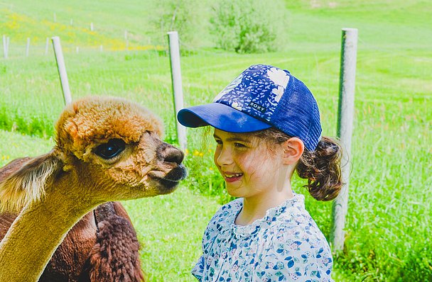 Kind bei der Alpakawanderung im Allgäu