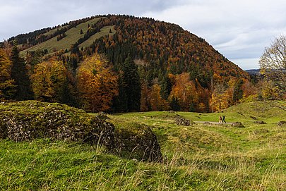 Zwei Wanderer auf einem Wanderweg zwischen Wiesen und Felsen, dahinter ein teils bewaldeter Berg