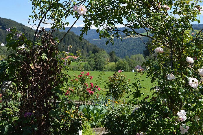 Ausblick vom Garten