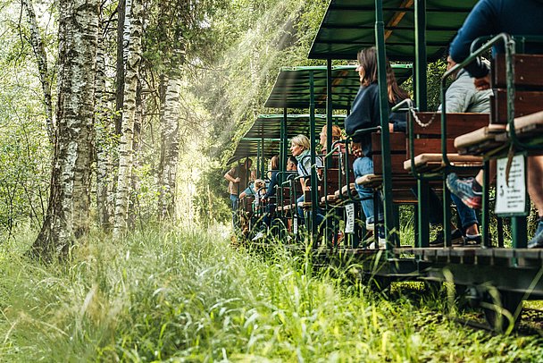 Torfbahn mit Passagieren im Wurzacher Ried