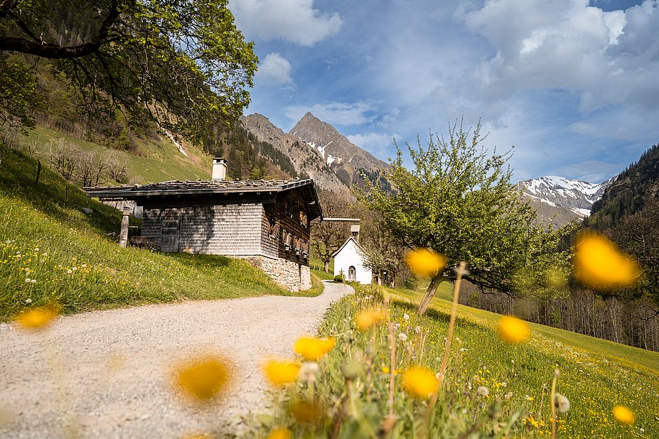 Tradtitioenlles Holzhaus zwischen Laubbäumen in Gerstruben, dahinter eine Kapelle, im Hintergrund die Allgäuer Alpen, im Vordergrund Frühlingsblumen
