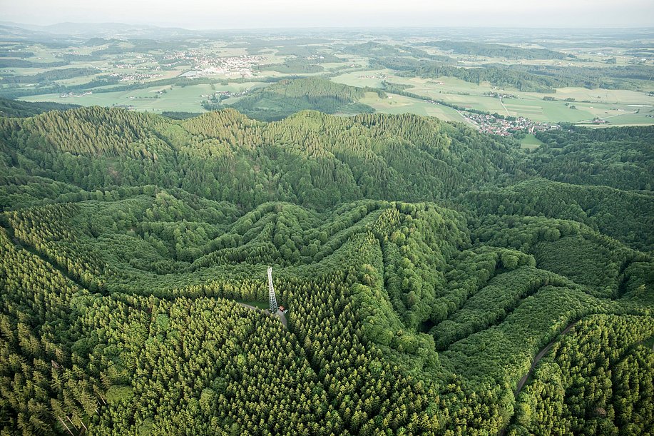 Wandertrilogie Allgäu Wald von oben Ballonfahrt Adelegg