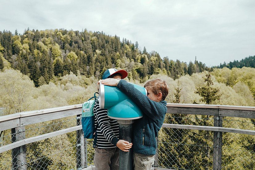 Kinder schauen durch Fernrohr auf Baumwipfelpfad im Walderlebniszentrum Füssen Kinder schauen durch Fernrohr auf Baumwipfelpfad im Walderlebniszentrum Füssen