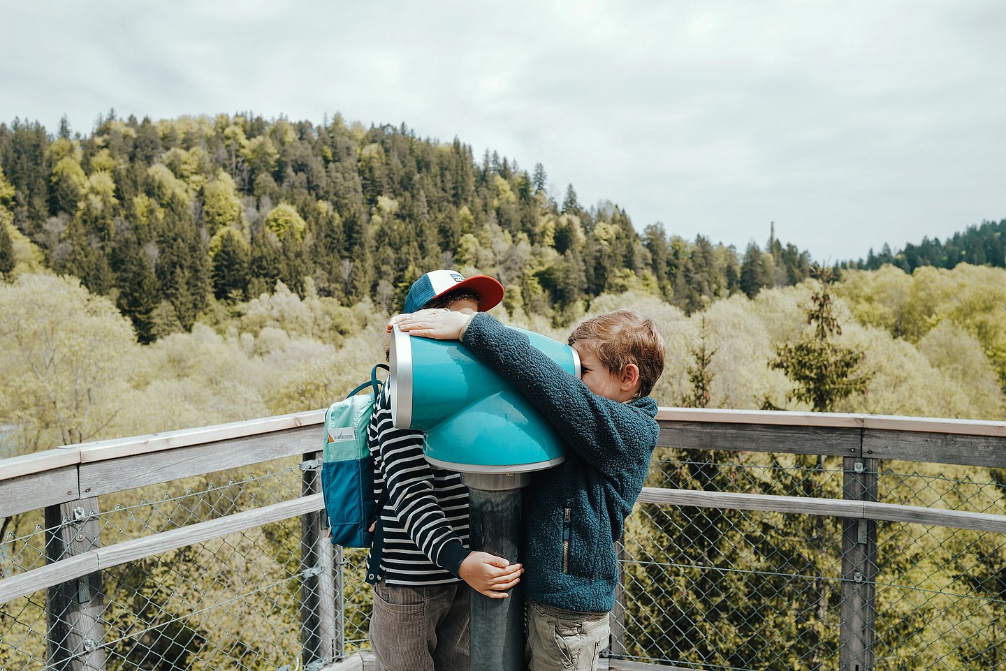 Kinder schauen durch Fernrohr auf Baumwipfelpfad im Walderlebniszentrum Füssen