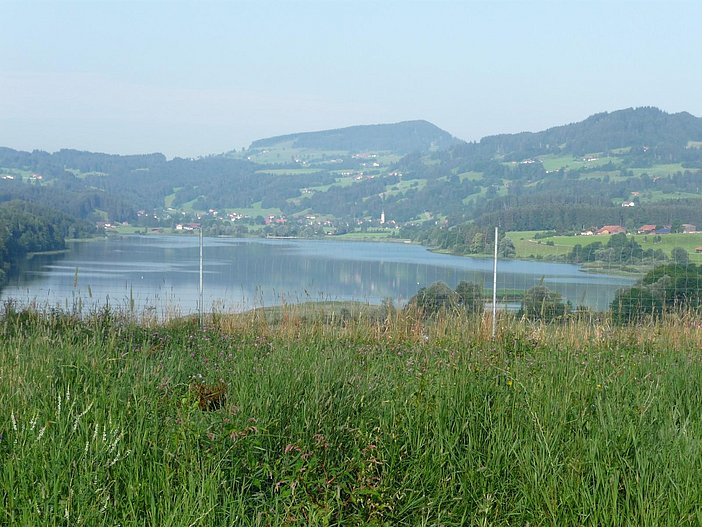 Blick über den Niedersonthofener See