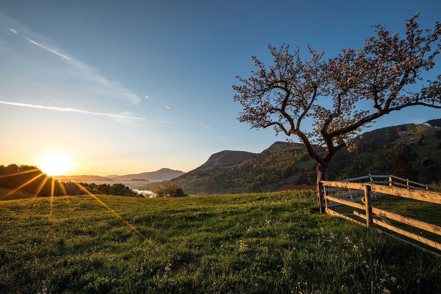Sonnenaufgang auf einer Wiese oberhalb des Großen Alpsees
