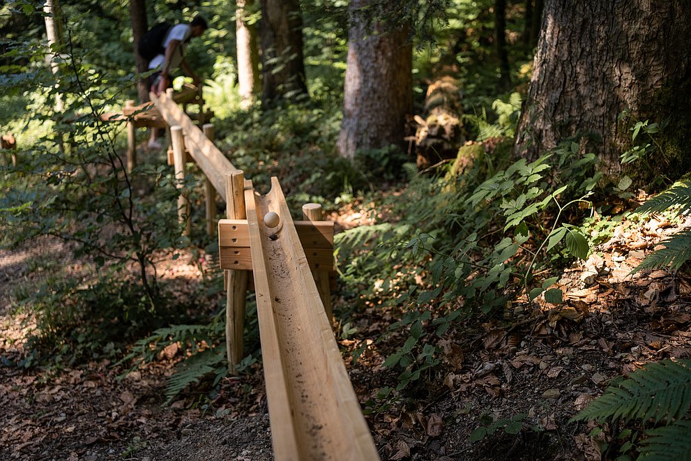Holzkugel auf einer Kugelbahn im Wald