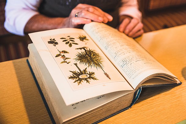 Großes, altes Buch mit Zeichnungen von Kräutern