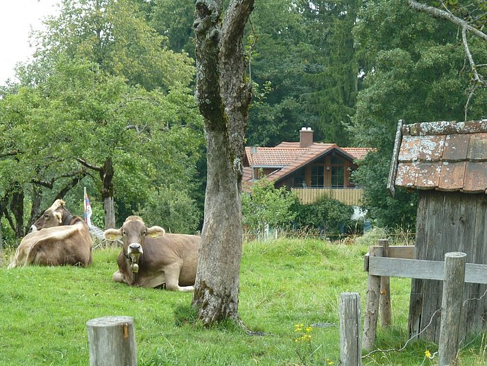 Nicht nur die Gäste liegen bei uns auf der Wiese