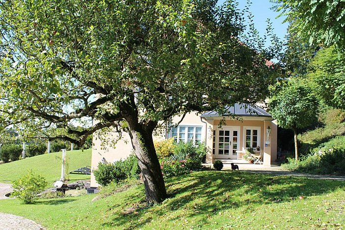 Wohnung - Gästehaus