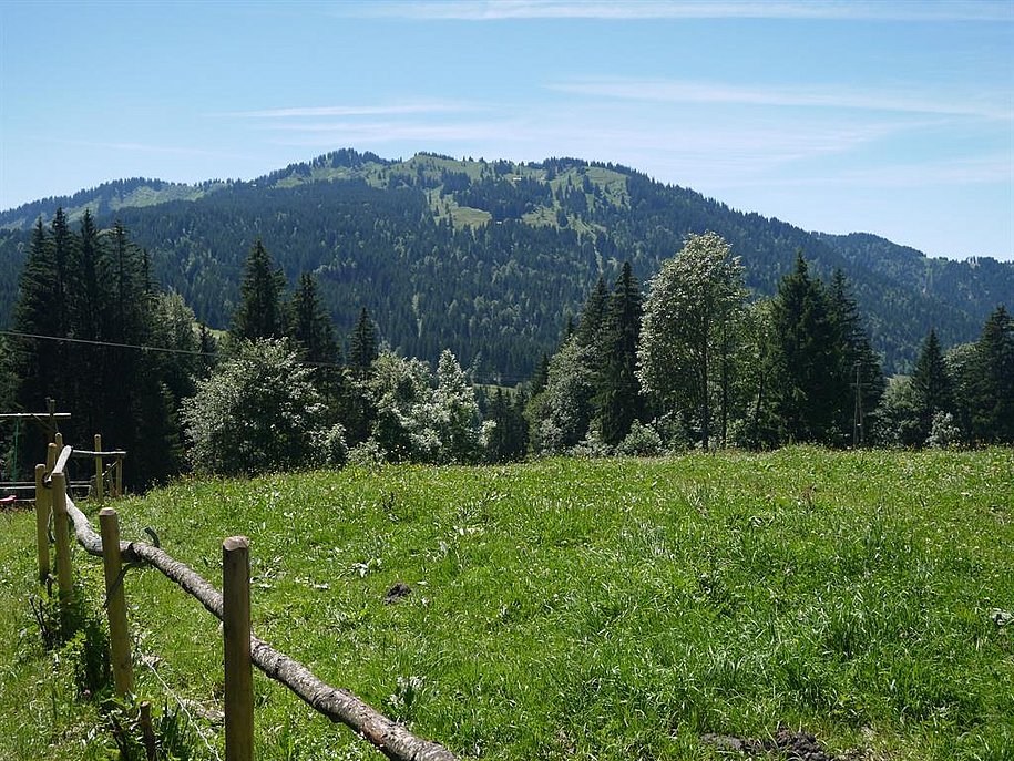 Wiesennah