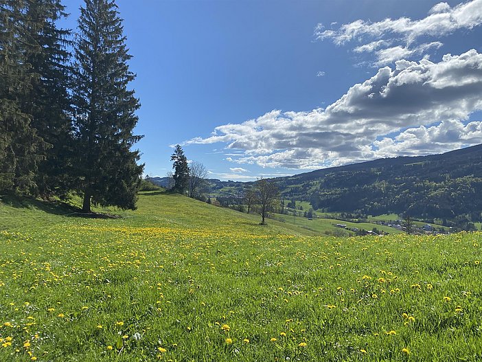Umgebung
