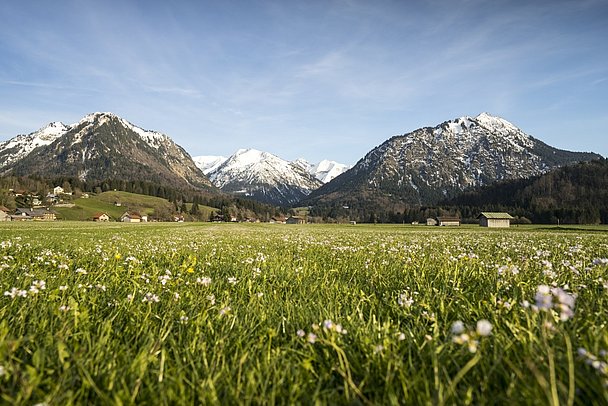 Frühlingsweise bei Oberstdorf, auf den Bergen liegt noch Schnee