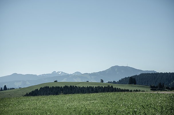 Ein weiter Blick in die Alpen