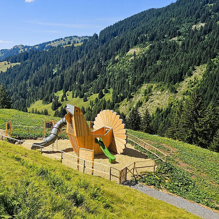 Erlebniswelt Raufußhorn an der Bergstation in Grasgehren