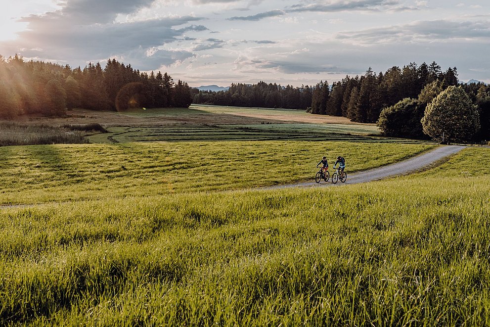 Naturbiken am Schwaltenweiher