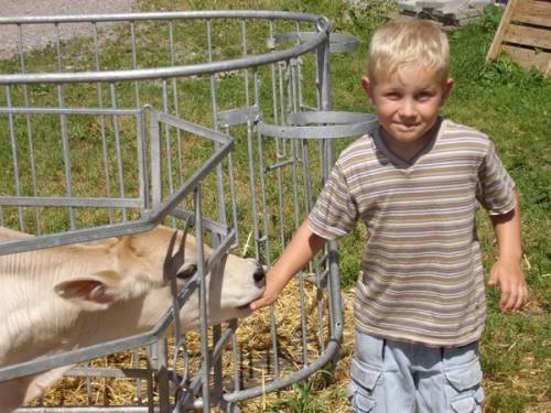 Landwirtschaft hautnah erleben