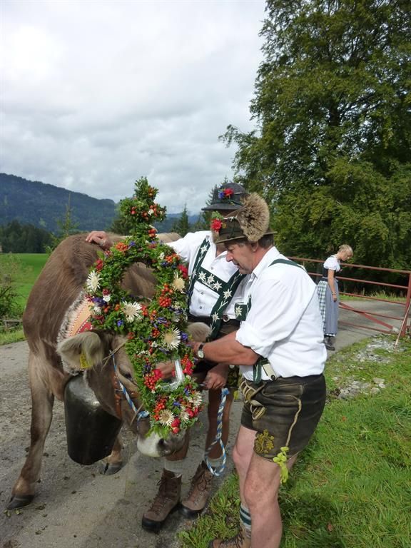 die schönste wird geschmückt