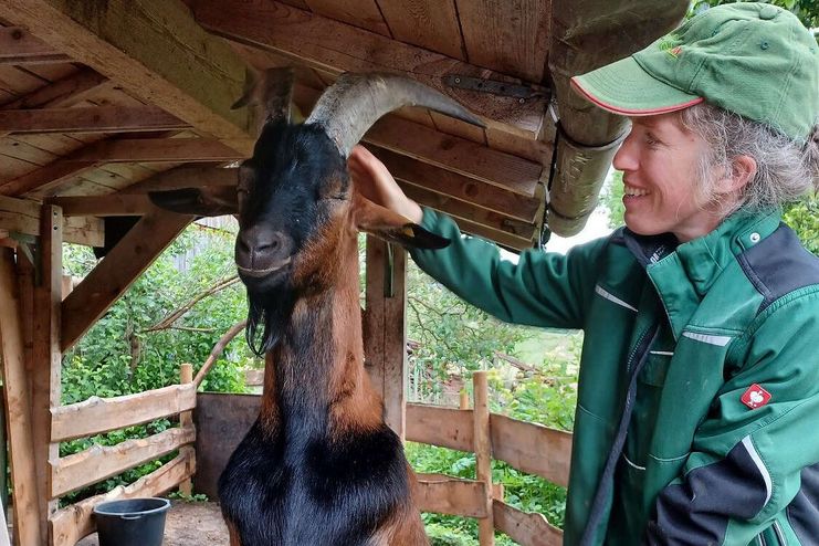 Ziegen-Baeren-Hof-Hampp