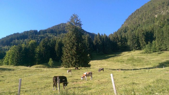 Wanderweg