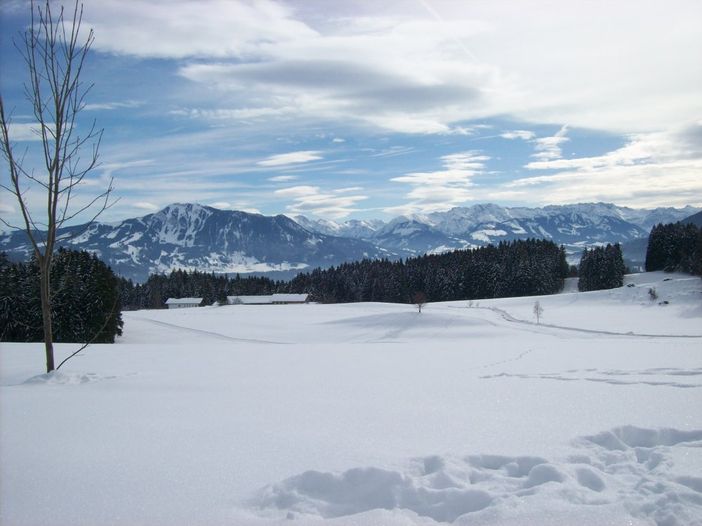 Winterbild Grünten