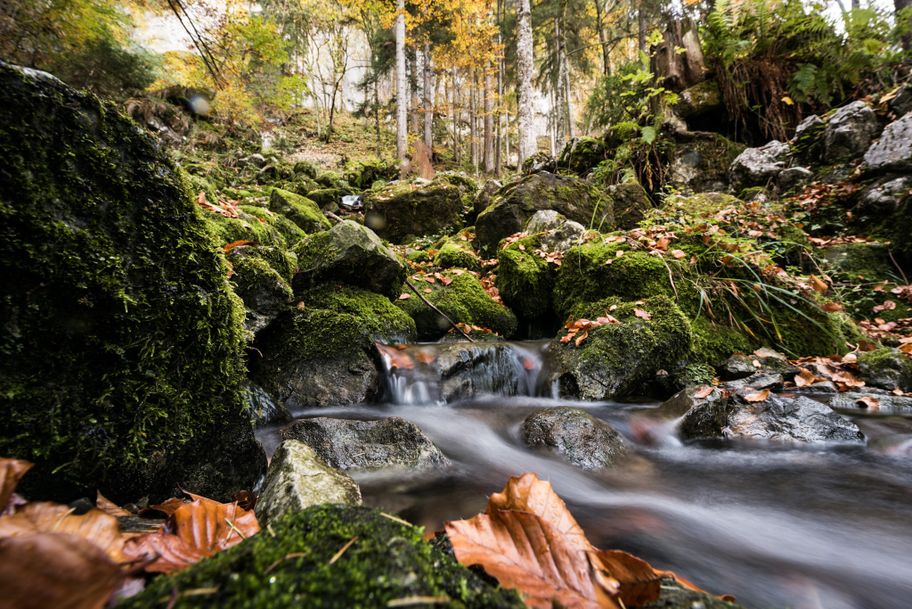 Herbst am Sagenweg in Obermaiselstein im Allgäu