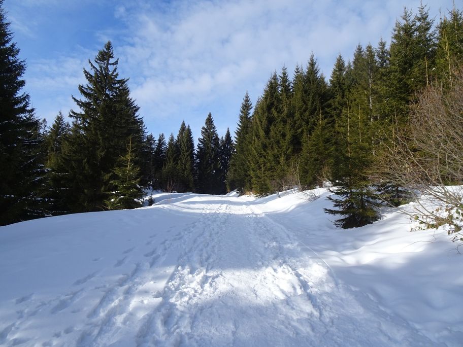 Winterwanderung zur Oberen Mittelalpe