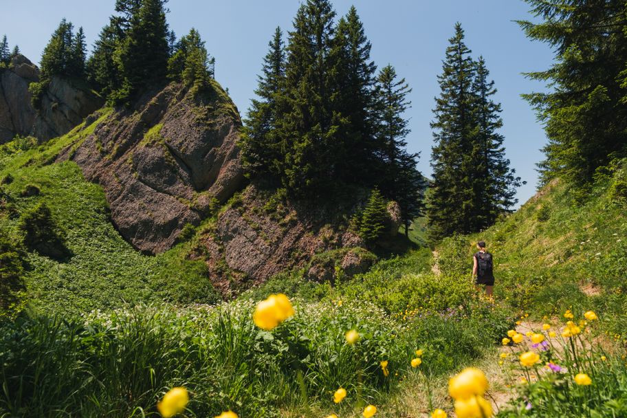 Wandern auf der Nagelfluhkette