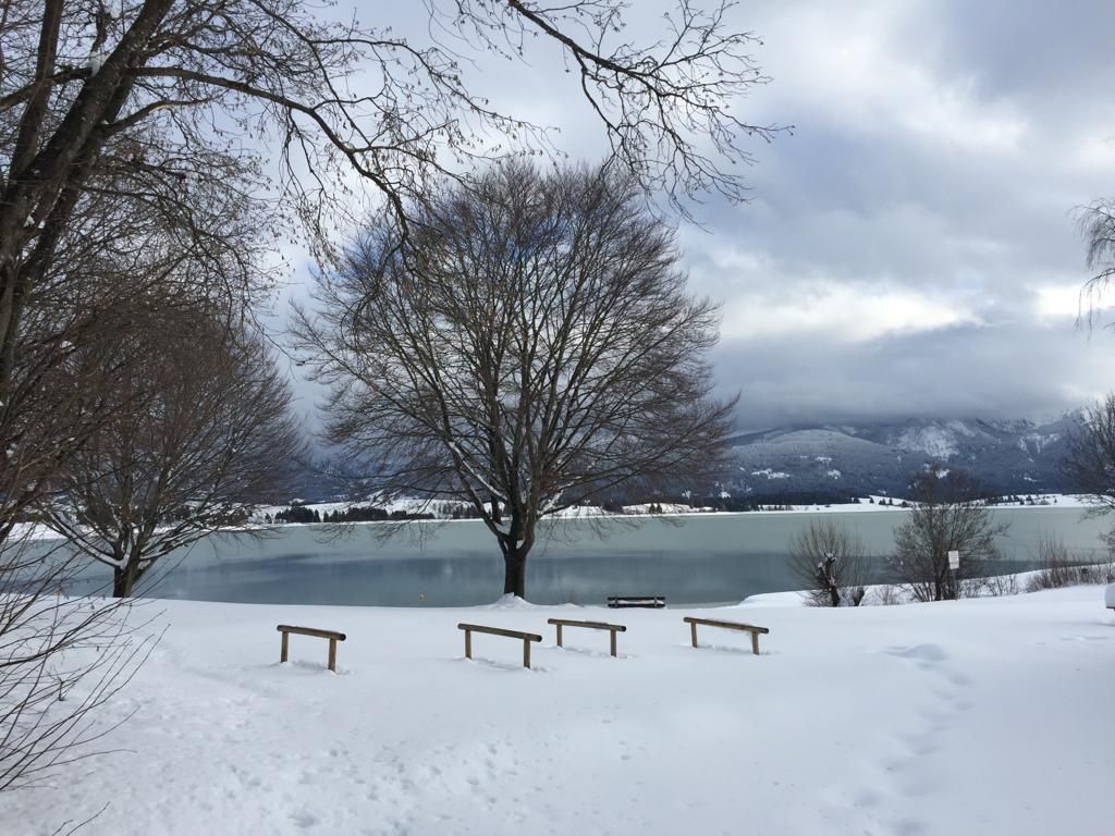 Badeplatz 2019