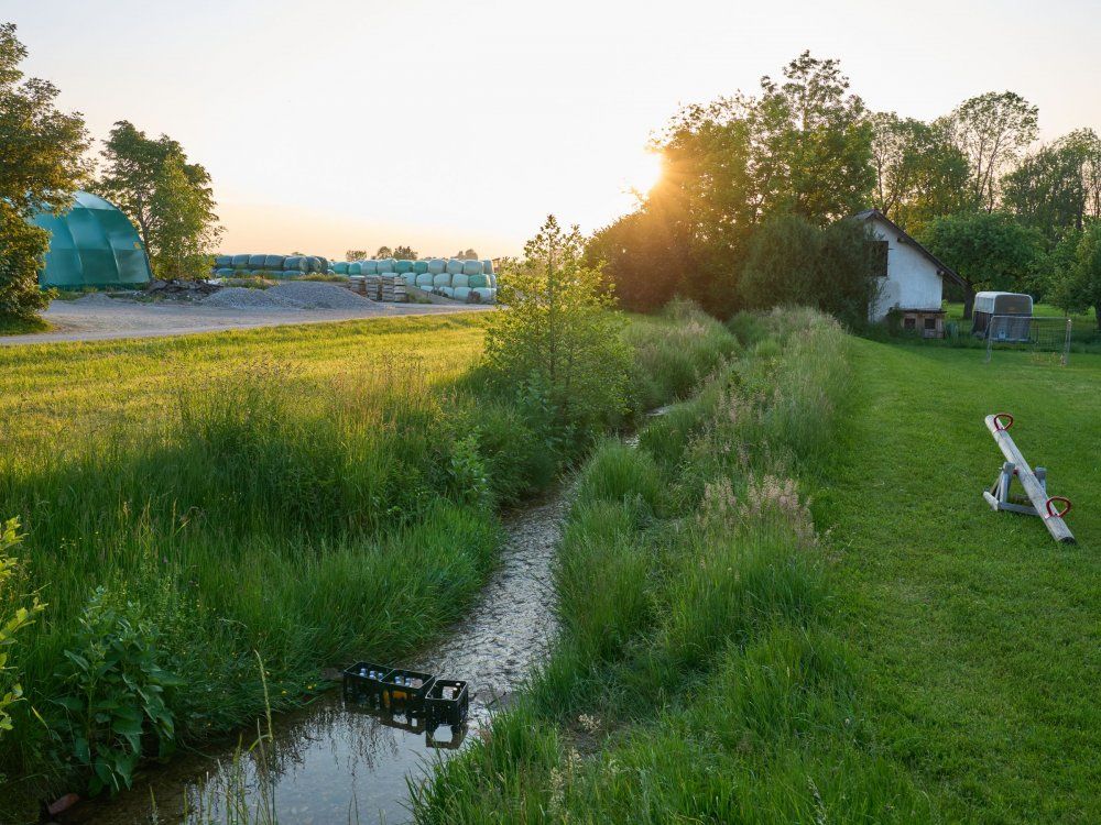 Unser Fuchshaldenbach