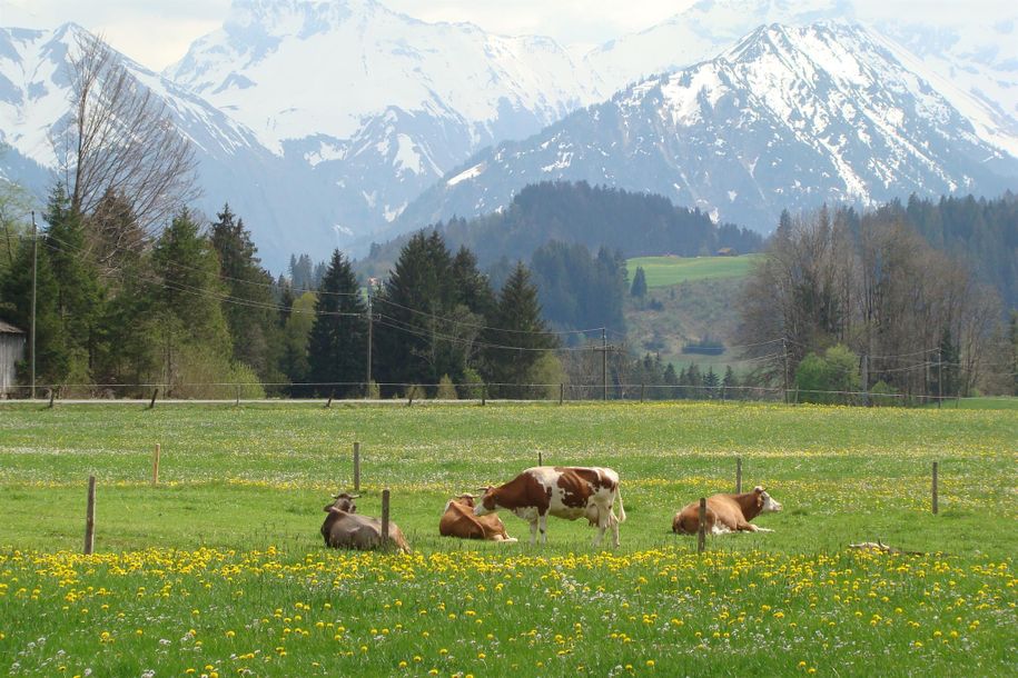 Frühlingszeit