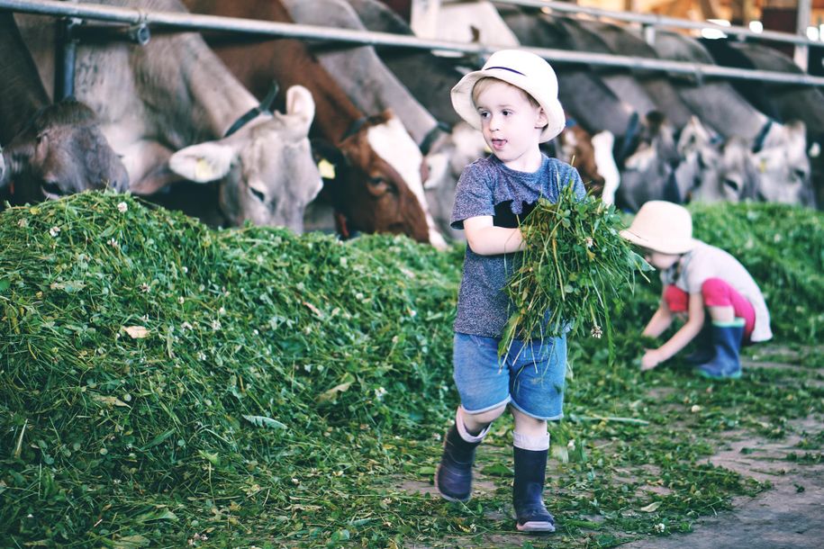 Kind beim Gras füttern