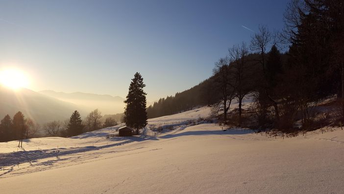 Winter an der Polite