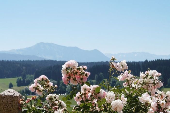 Aussicht Grünten