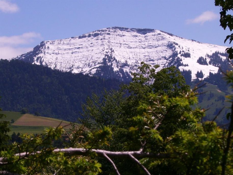 Hochgratblick aus der Wohnküche