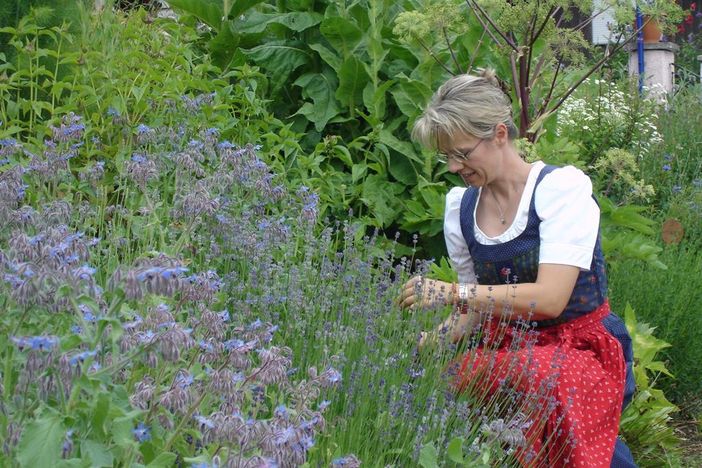 Herb garden