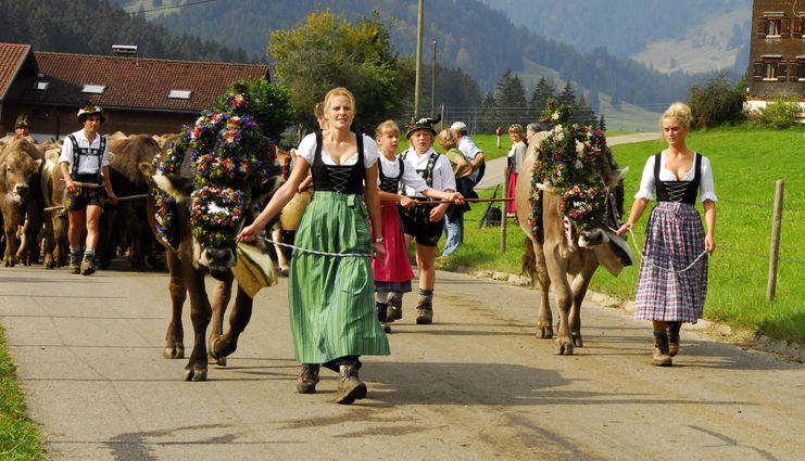 Viehscheid Gunzesried