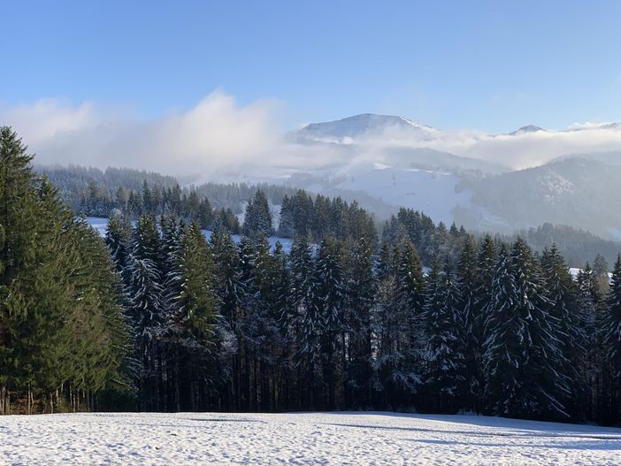 Winterlandschaft