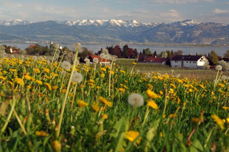 Nonnenhorn-Panorama im Frühling