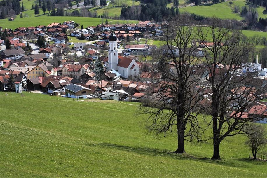 _MG_4123 (2)