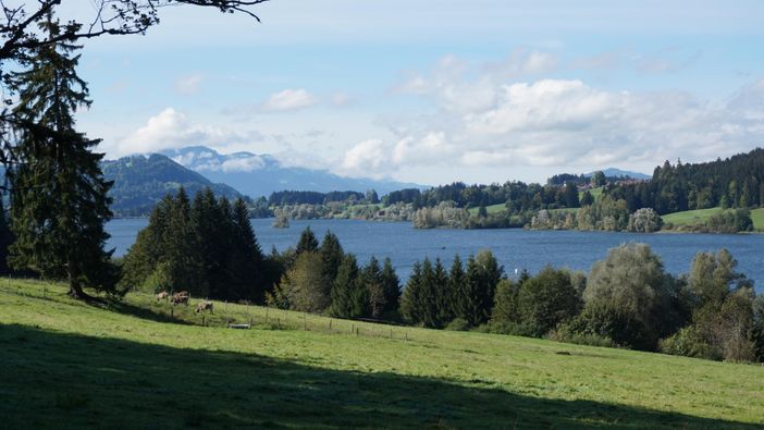 DSC00275