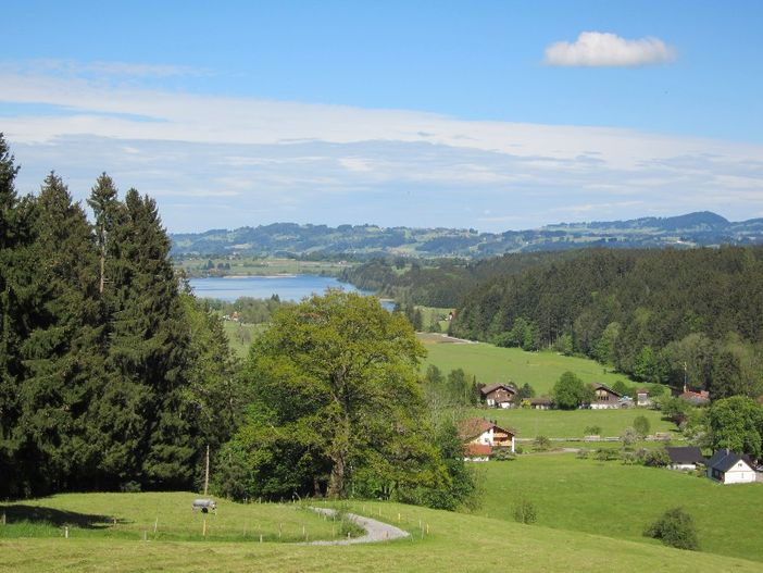 Blick auf nahe liegenden Niedersonthofener See
