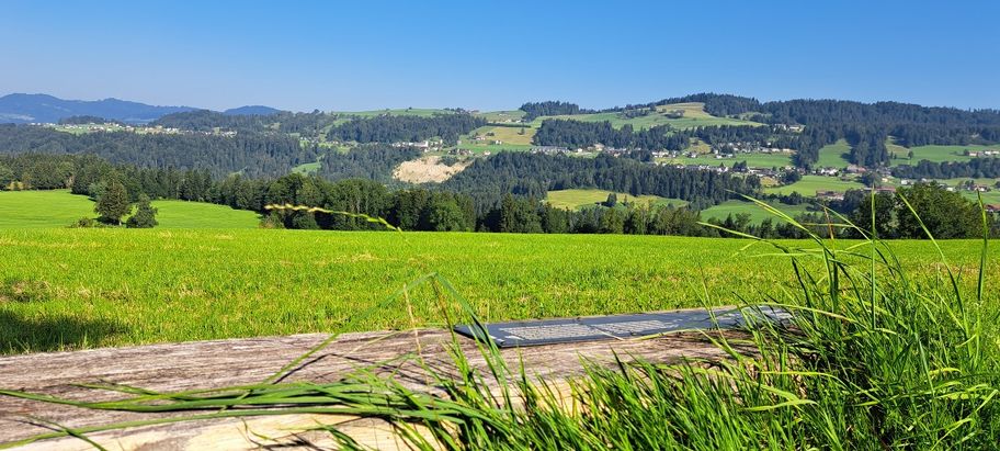 Moorrunde Salgenreute