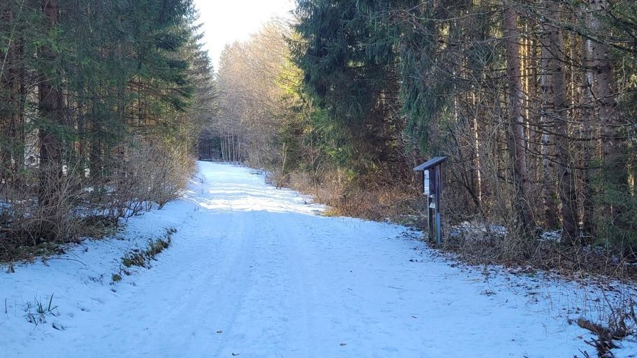 Vogellehrpfad Friesenried