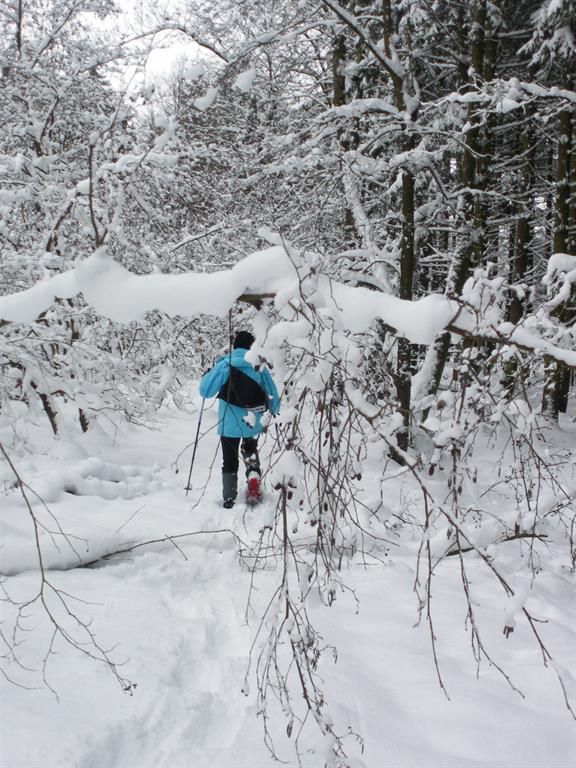 Traumhafte Winterwanderung