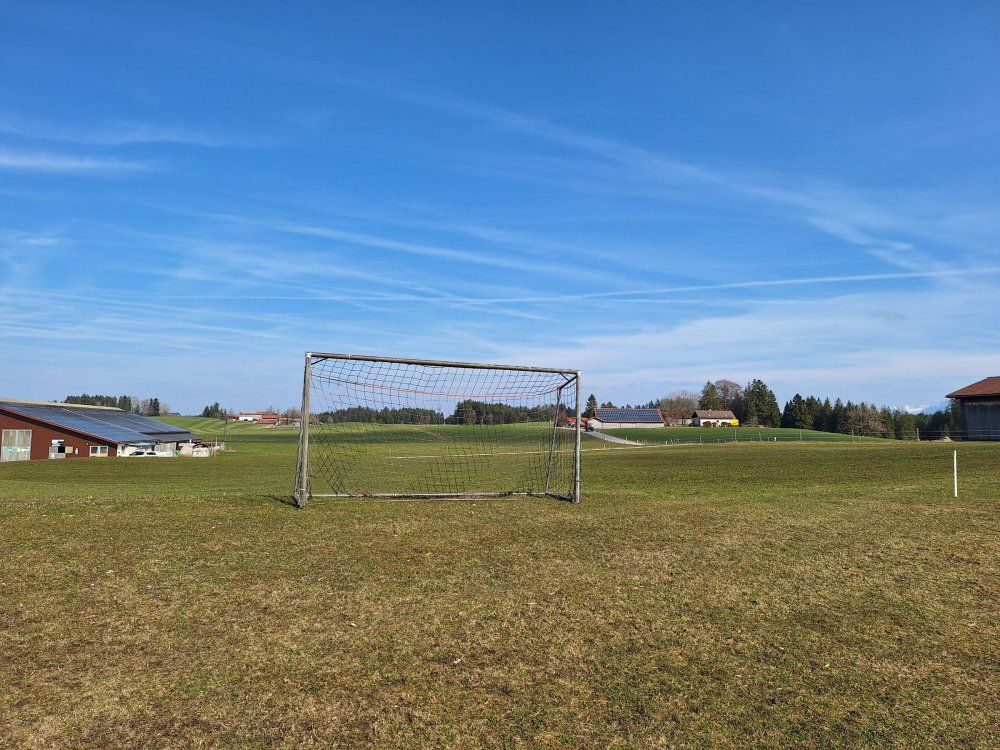 Fußballtor